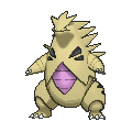 Shiny
