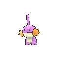 Shiny