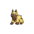 Shiny