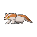 Shiny