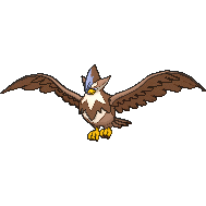 Shiny