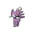Shiny