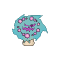 Shiny