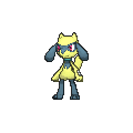 Shiny