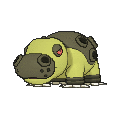 Shiny