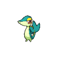 Shiny