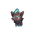 Shiny