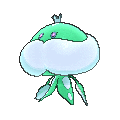 Shiny