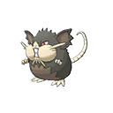 Alola Raticate