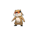 Patrat