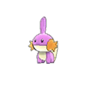 Shiny
