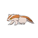 Shiny
