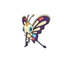 Shiny