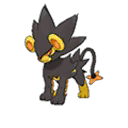 Shiny