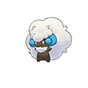 Shiny