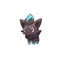 Shiny