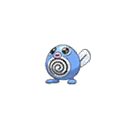 Shiny