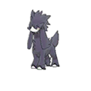Shiny