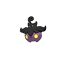 Shiny