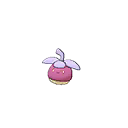 Shiny