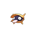 Shiny